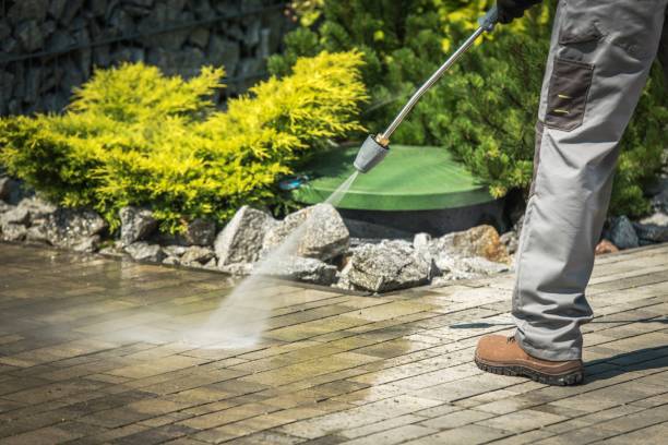 Best Driveway Pressure Washing  in Hlside, IL