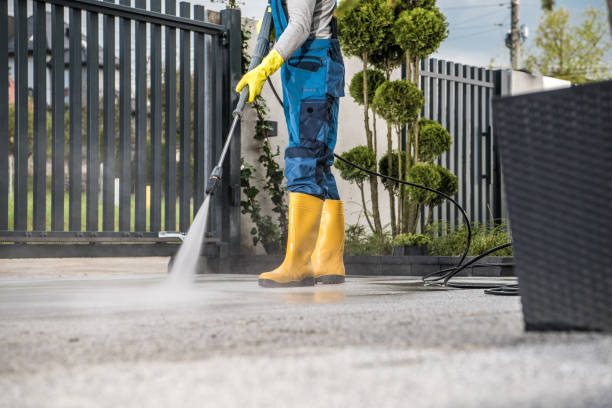 Best House Exterior Washing  in Hlside, IL