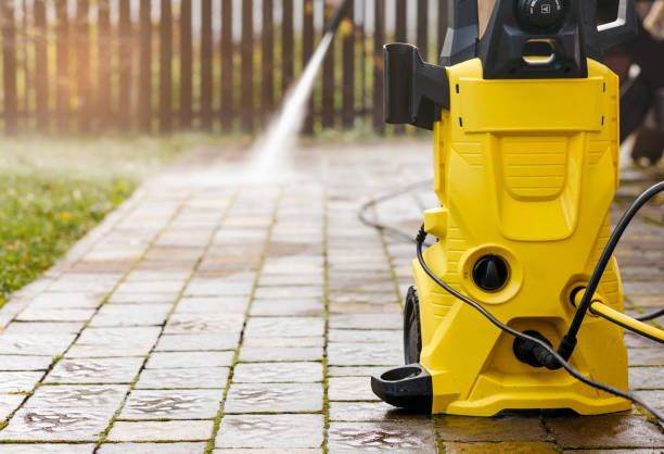 Best Animal Enclosure Cleaning  in Hlside, IL